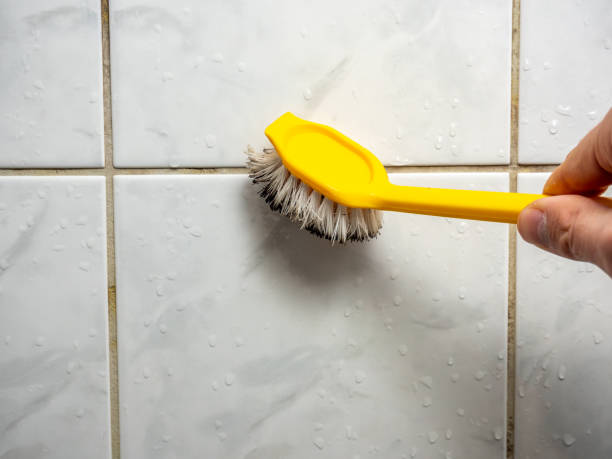 Best Mold Cleaning Services  in Gila Bend, AZ